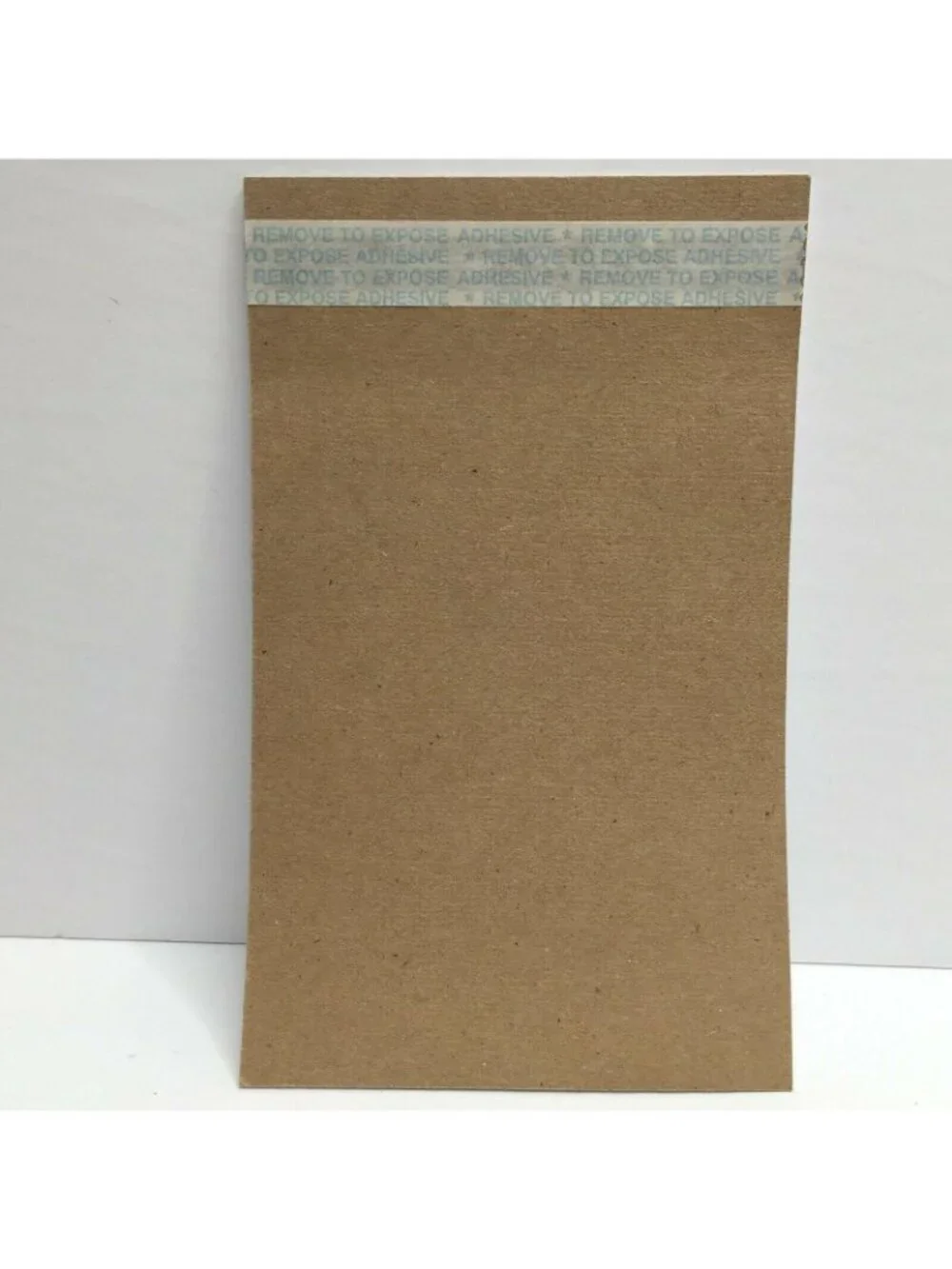 Disneyland Hotel Notepad Paper Souvenir Park 5.5